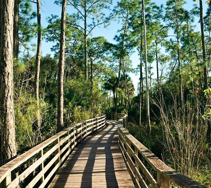 Corkscrew Swamp Sanctuary
